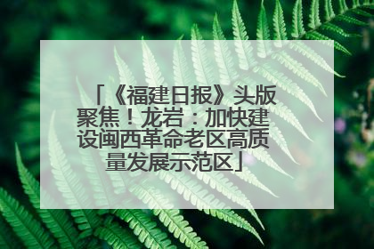 《福建日报》头版聚焦！龙岩：加快建设闽西革命老区高质量发展示范区