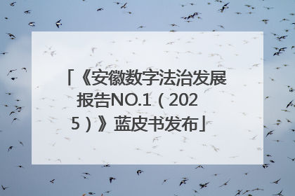 《安徽数字法治发展报告NO.1（2025）》蓝皮书发布