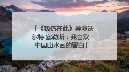 《我仍在此》导演沃尔特·塞勒斯：我喜欢中国山水画的留白