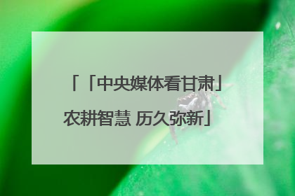 「中央媒体看甘肃」农耕智慧 历久弥新