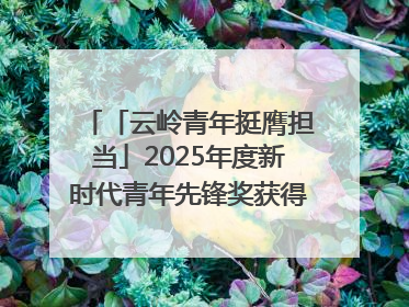 「云岭青年挺膺担当」2025年度新时代青年先锋奖获得者王敏奇——澜沧江上好渔人