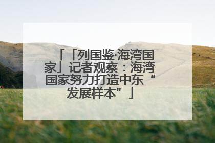 「列国鉴·海湾国家」记者观察：海湾国家努力打造中东“发展样本”