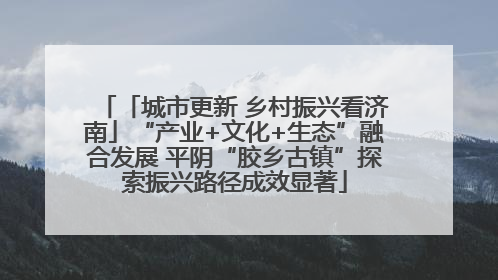 「城市更新 乡村振兴看济南」“产业+文化+生态”融合发展 平阴“胶乡古镇”探索振兴路径成效显著
