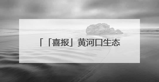 「喜报」黄河口生态旅游区入选山东省微短剧拍摄取景地名单
