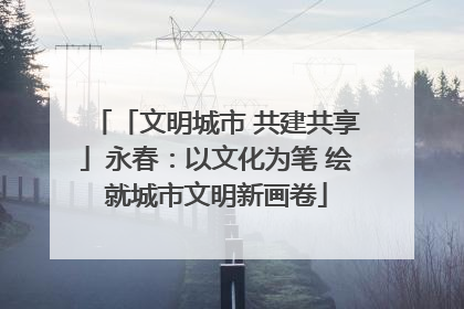 「文明城市 共建共享」永春：以文化为笔 绘就城市文明新画卷