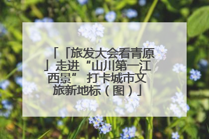 「旅发大会看青原」走进“山川第一江西景” 打卡城市文旅新地标（图）