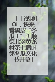 「视频」Oi，快来看黑皮“冬瓜王”！顺德北滘黄龙村第七届睦邻冬瓜文化节开幕