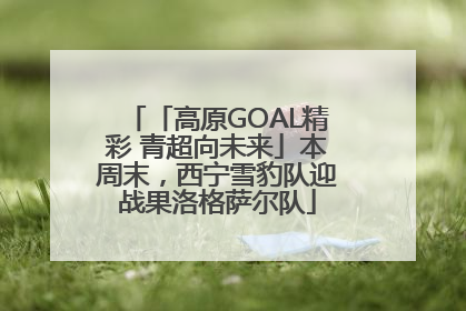 「高原GOAL精彩 青超向未来」本周末，西宁雪豹队迎战果洛格萨尔队