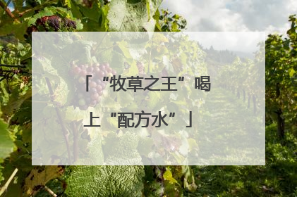 “牧草之王”喝上“配方水”