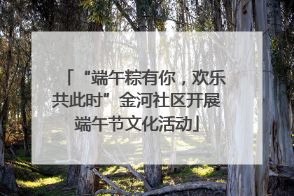 “端午粽有你，欢乐共此时”金河社区开展端午节文化活动