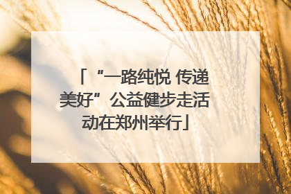 “一路纯悦 传递美好”公益健步走活动在郑州举行