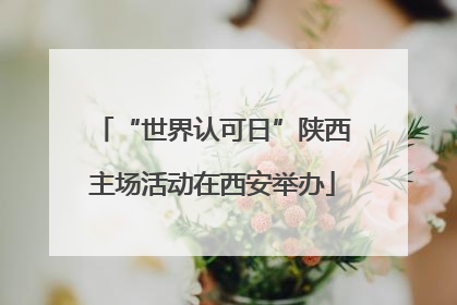 “世界认可日”陕西主场活动在西安举办