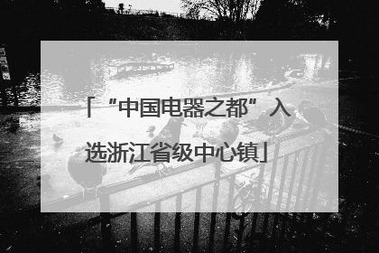 “中国电器之都”入选浙江省级中心镇