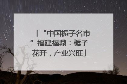 “中国栀子名市”福建福鼎：栀子花开，产业兴旺