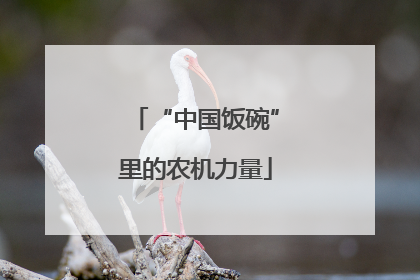 “中国饭碗”里的农机力量