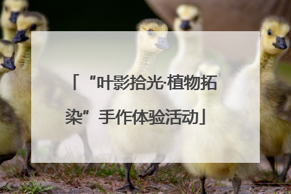 “叶影拾光·植物拓染”手作体验活动