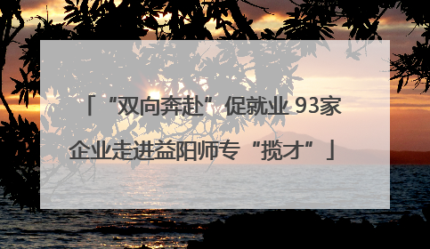 “双向奔赴”促就业 93家企业走进益阳师专“揽才”