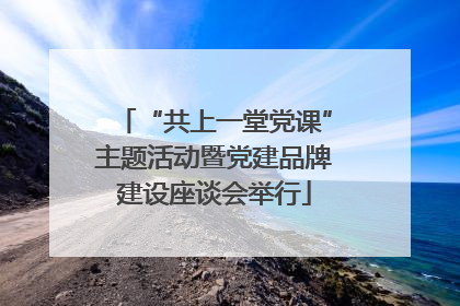 “共上一堂党课”主题活动暨党建品牌建设座谈会举行