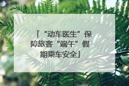 “动车医生”保障旅客“端午”假期乘车安全
