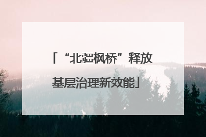 “北疆枫桥”释放基层治理新效能