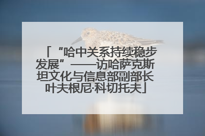 “哈中关系持续稳步发展”——访哈萨克斯坦文化与信息部副部长叶夫根尼·科切托夫