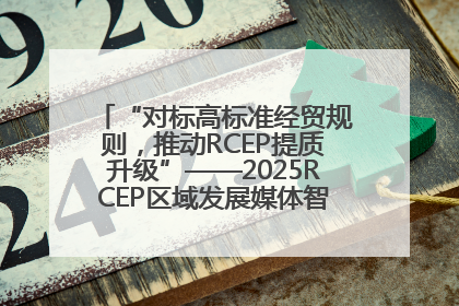 “对标高标准经贸规则，推动RCEP提质升级”——2025RCEP区域发展媒体智库论坛举行专题对话