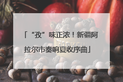 “孜”味正浓！新疆阿拉尔市奏响夏收序曲