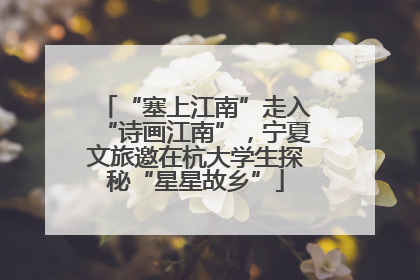 “塞上江南”走入“诗画江南”，宁夏文旅邀在杭大学生探秘“星星故乡”