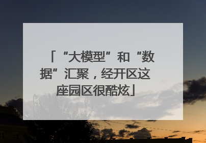 “大模型”和“数据”汇聚，经开区这座园区很酷炫