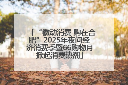 “徽动消费 购在合肥”2025年夜间经济消费季暨66购物月掀起消费热潮