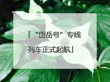 “岱岳号”专线列车正式起航