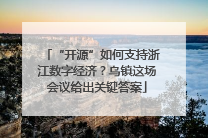 “开源”如何支持浙江数字经济？乌镇这场会议给出关键答案