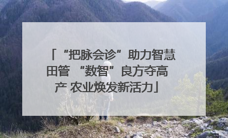 “把脉会诊”助力智慧田管 “数智”良方夺高产 农业焕发新活力