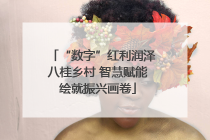 “数字”红利润泽八桂乡村 智慧赋能绘就振兴画卷