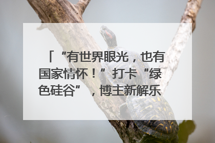 “有世界眼光，也有国家情怀！”打卡“绿色硅谷”，博主新解乐山｜网络名人四川行