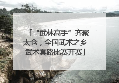 “武林高手”齐聚太仓，全国武术之乡武术套路比赛开赛