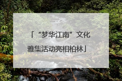 “梦华江南”文化雅集活动亮相柏林