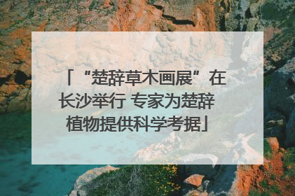 “楚辞草木画展”在长沙举行 专家为楚辞植物提供科学考据