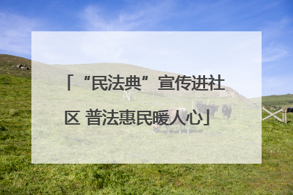 “民法典”宣传进社区 普法惠民暖人心