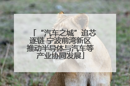 “汽车之城”追芯逐链 宁波前湾新区推动半导体与汽车等产业协同发展