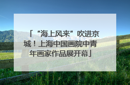 “海上风来”吹进京城！上海中国画院中青年画家作品展开幕