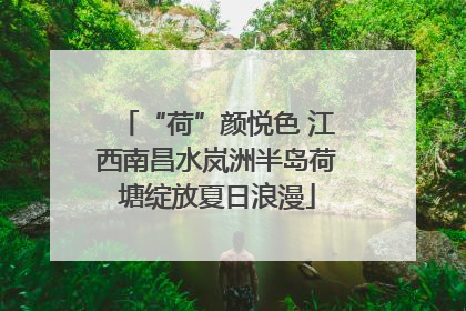 “荷”颜悦色 江西南昌水岚洲半岛荷塘绽放夏日浪漫