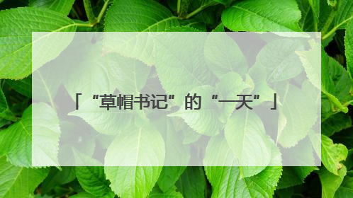 “草帽书记”的“一天”