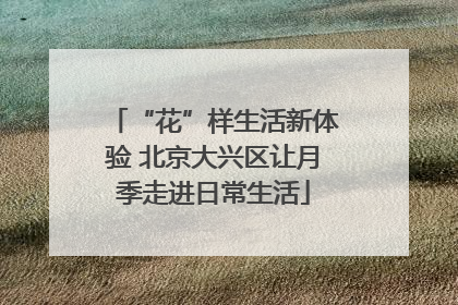 “花”样生活新体验 北京大兴区让月季走进日常生活