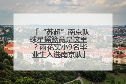 “苏超”南京队球星摇篮竟是这里？雨花实小9名毕业生入选南京队