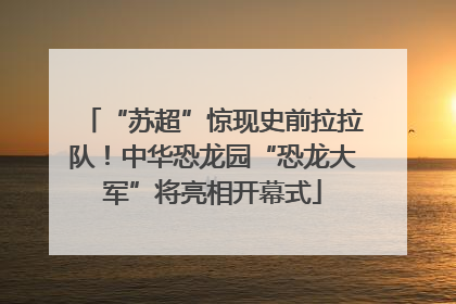 “苏超”惊现史前拉拉队！中华恐龙园“恐龙大军”将亮相开幕式