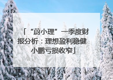 “蔚小理”一季度财报分析：理想盈利稳健 小鹏亏损收窄