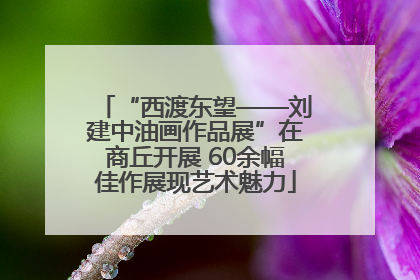 “西渡东望——刘建中油画作品展”在商丘开展 60余幅佳作展现艺术魅力