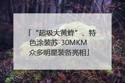 “超级大黄蜂”、特色涂装苏-30MKM 众多明星装备亮相