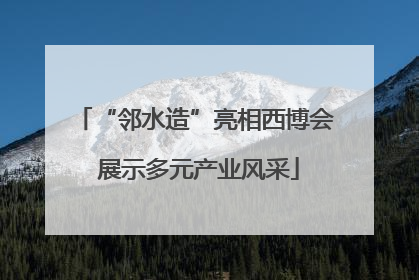“邻水造”亮相西博会 展示多元产业风采